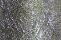 Galltair fibreglass roof work